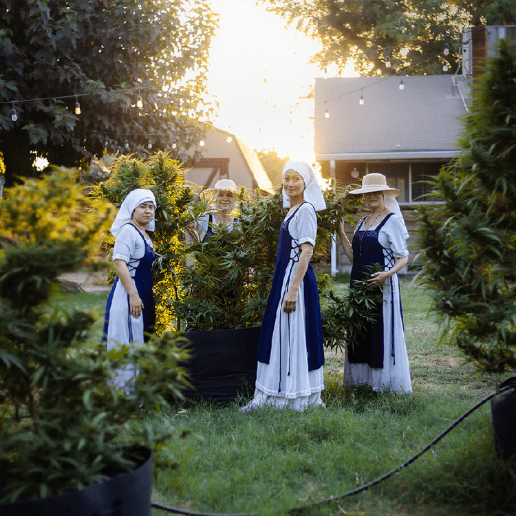 Sisters of the Valley in garden